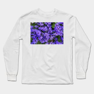 Asters Long Sleeve T-Shirt